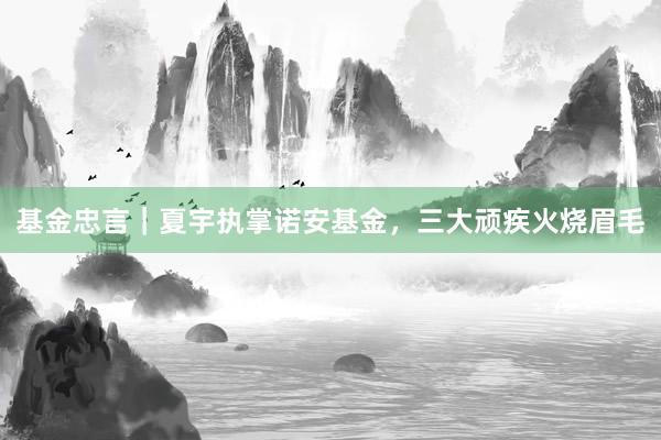 基金忠言｜夏宇执掌诺安基金，三大顽疾火烧眉毛