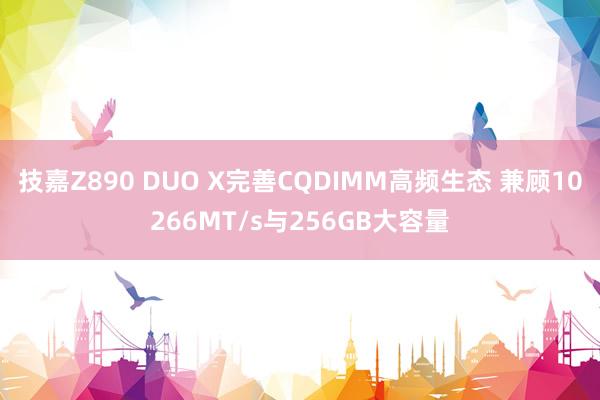 技嘉Z890 DUO X完善CQDIMM高频生态 兼顾10266MT/s与256GB大容量
