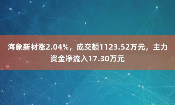 海象新材涨2.04%，成交额1123.52万元，主力资金净流入17.30万元