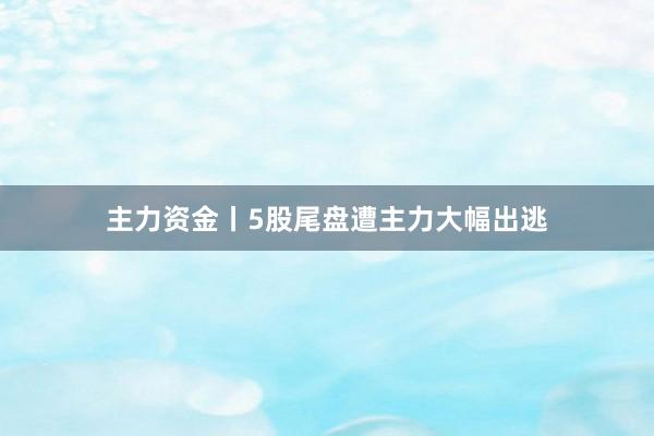 主力资金丨5股尾盘遭主力大幅出逃