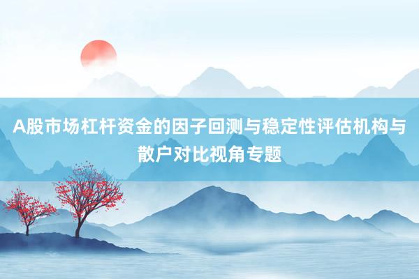 A股市场杠杆资金的因子回测与稳定性评估机构与散户对比视角专题