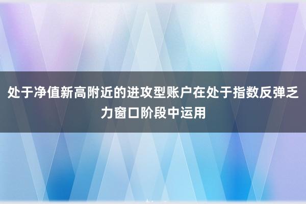 处于净值新高附近的进攻型账户在处于指数反弹乏力窗口阶段中运用