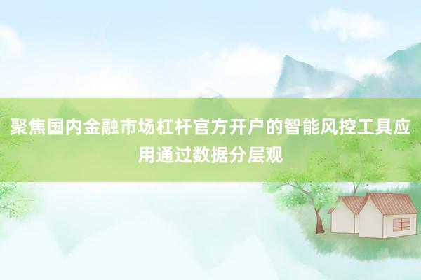 聚焦国内金融市场杠杆官方开户的智能风控工具应用通过数据分层观