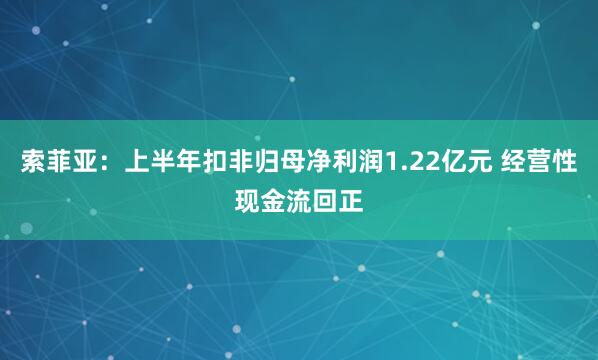 索菲亚：上半年扣非归母净利润1.22亿元 经营性现金流回正