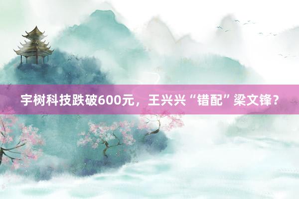 宇树科技跌破600元，王兴兴“错配”梁文锋？