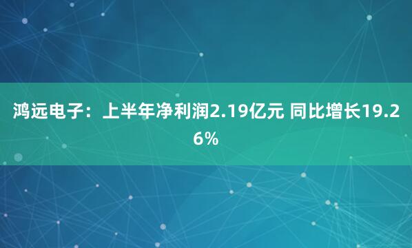鸿远电子：上半年净利润2.19亿元 同比增长19.26%