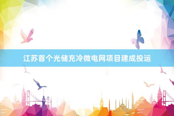 江苏首个光储充冷微电网项目建成投运