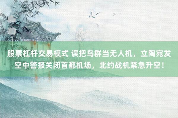 股票杠杆交易模式 误把鸟群当无人机，立陶宛发空中警报关闭首都机场，北约战机紧急升空！