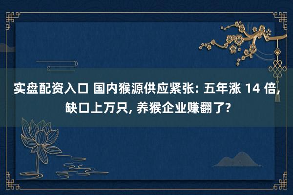 实盘配资入口 国内猴源供应紧张: 五年涨 14 倍, 缺口上万只, 养猴企业赚翻了?